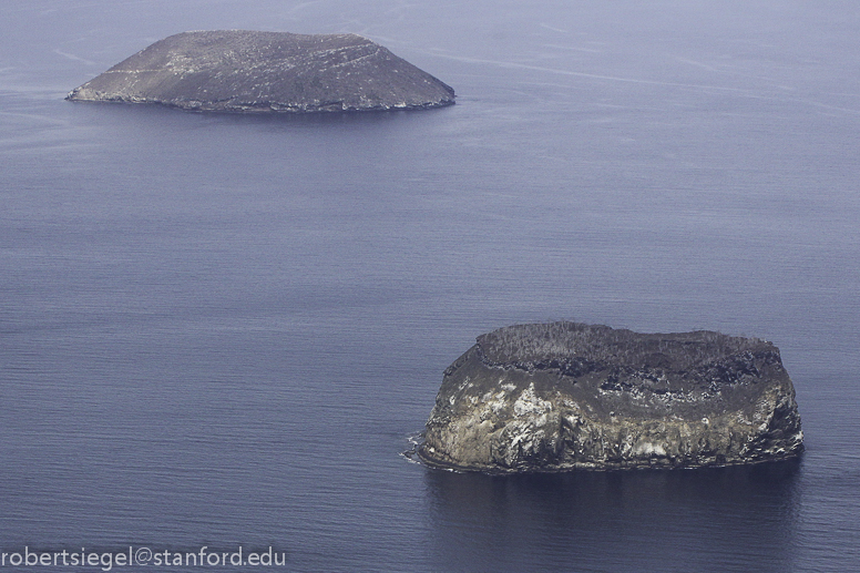 galapagos